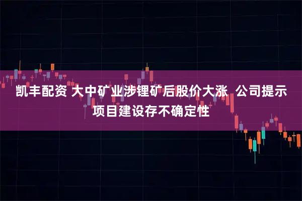 凯丰配资 大中矿业涉锂矿后股价大涨  公司提示项目建设存不确定性