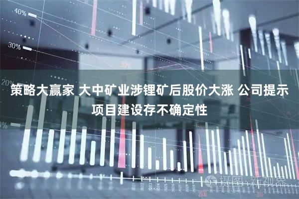 策略大赢家 大中矿业涉锂矿后股价大涨 公司提示项目建设存不确定性