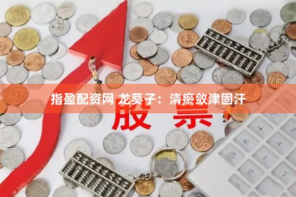 指盈配资网 龙葵子：清瘀敛津固汗