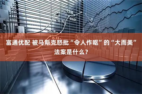 富通优配 被马斯克怒批“令人作呕”的“大而美”法案是什么？