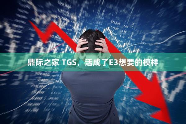 鼎际之家 TGS，活成了E3想要的模样
