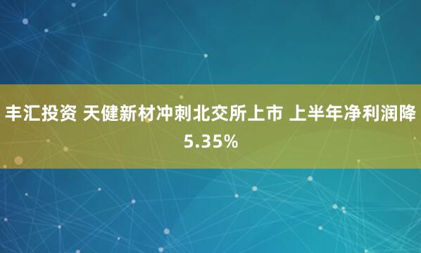 丰汇投资 天健新材冲刺北交所上市 上半年净利润降5.35%