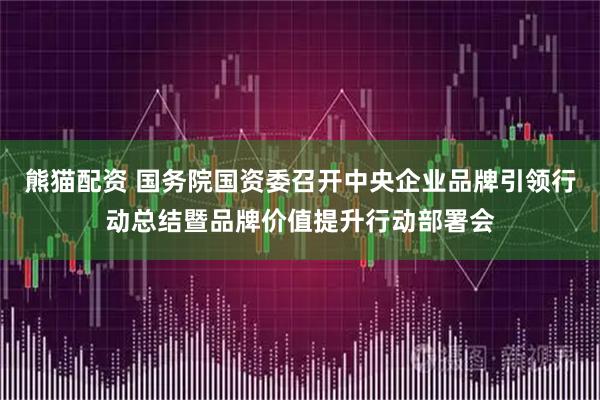 熊猫配资 国务院国资委召开中央企业品牌引领行动总结暨品牌价值提升行动部署会